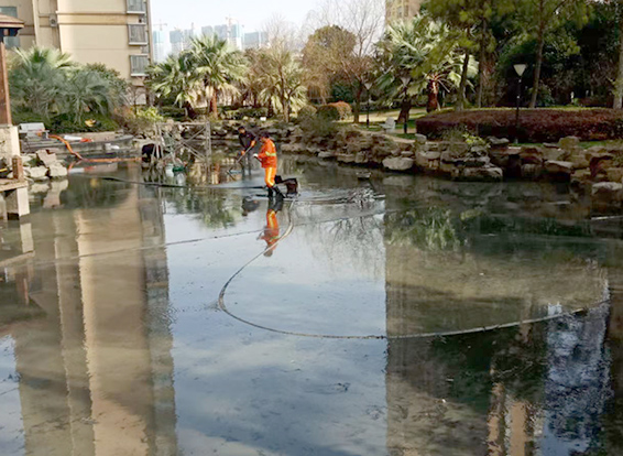 杨市办事处景观池淤泥清理